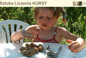 Sztuka Liczenia KURSY