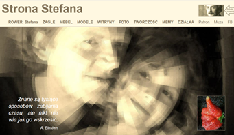 Strona Stefana