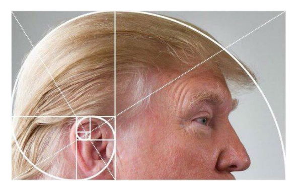 Złoty podział Trumpa